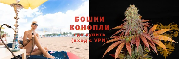 PSILOCYBIN Богородицк