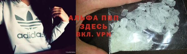 spice Белокуриха