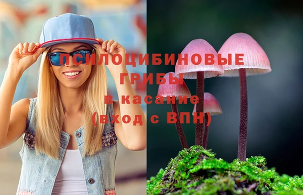 PSILOCYBIN Богородицк