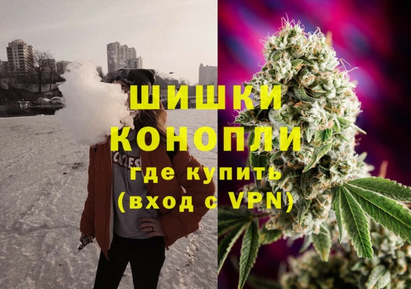 spice Белокуриха