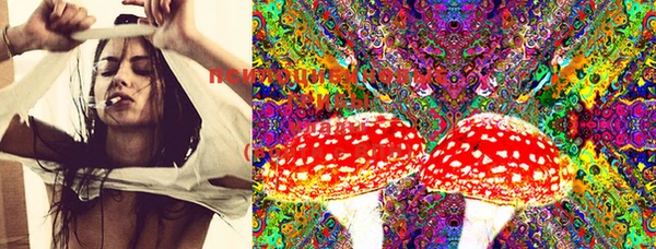 PSILOCYBIN Богородицк