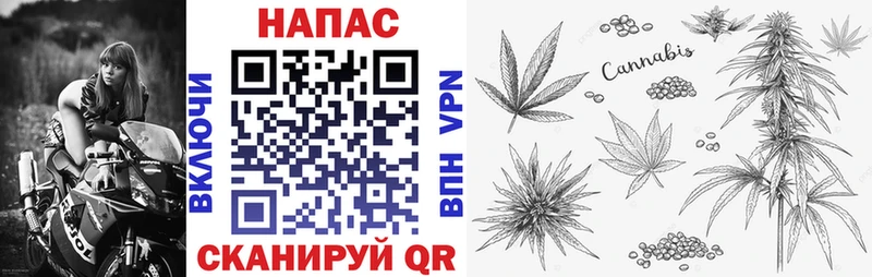где купить наркотик  hydra маркетплейс  Бошки марихуана VHQ  Билибино 